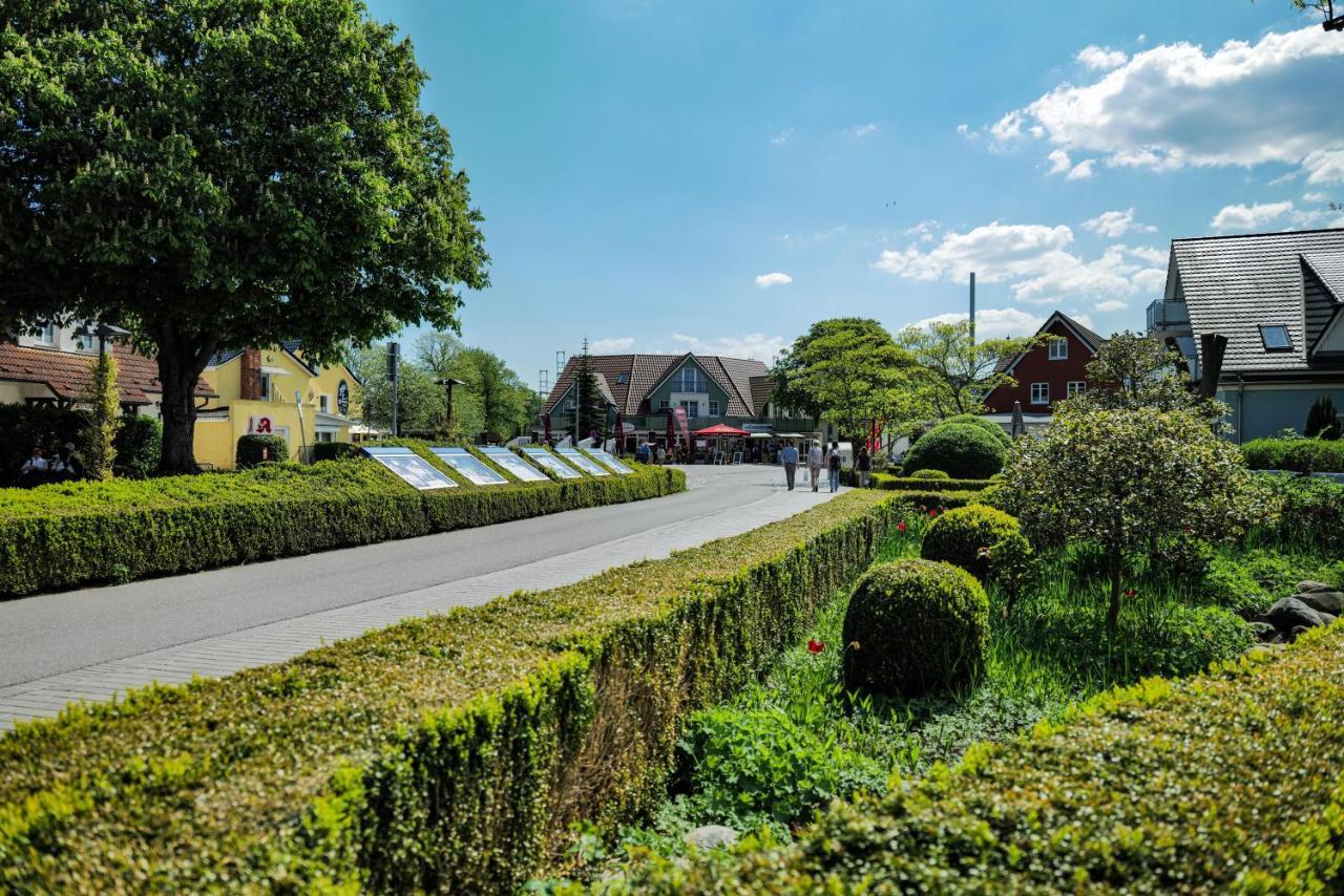 Ferienwohnungen Meerfarbig Zingst - Haustierfrei -Terrasse Mit Strandkorb Oder Balkon - E-Ladesaeule - Parkplatz - Wlan - Fahrradschuppen - Waschtrockner - Ruhig Und Zentral - Nichtraucher Екстер'єр фото
