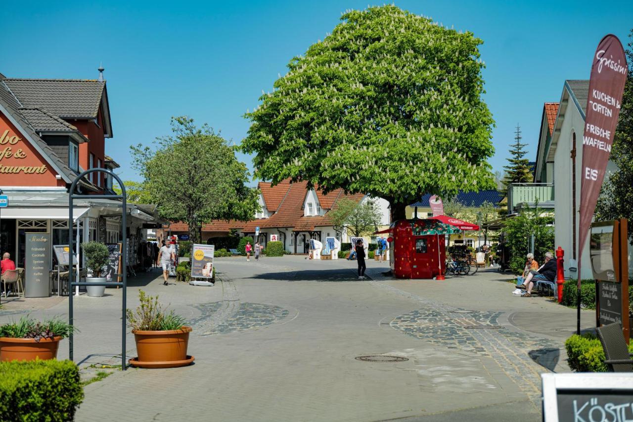 Ferienwohnungen Meerfarbig Zingst - Haustierfrei -Terrasse Mit Strandkorb Oder Balkon - E-Ladesaeule - Parkplatz - Wlan - Fahrradschuppen - Waschtrockner - Ruhig Und Zentral - Nichtraucher Екстер'єр фото